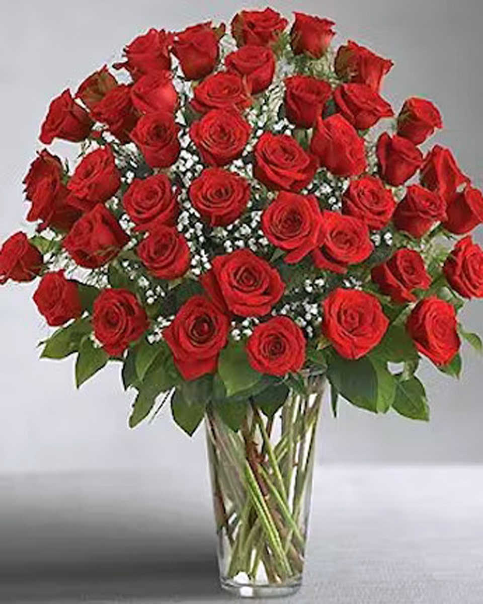 50 Red Roses  50 Roses 50 Premium Ecuadorian Red Roses with gorgeous Babies Breath and greenery arranged in a vase.
 
TEXT FOR DELIVERY TEXT IN CONTENT
 Every order is hand-delivered direct to the recipient. These items will be delivered by us locally, or a qualified retail local florist.