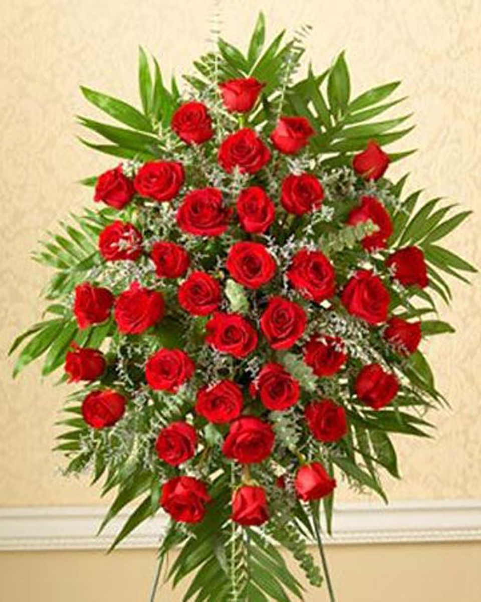 24 Red Rose Spray Standard-24 Red Roses Express your love and support at this time of loss with this unforgettable tribute. Features 24 roses, caspia, salal and more. A fitting memorial for families, friends, or business associates to send and traditionally delivered to the funeral home for viewing or memorial service.
NOTE: Select your choice of Red, Pink, White, Yellow, or Mixed Colored roses. Arrangement measures approximately 35” H x 25” D and delivered on a 48