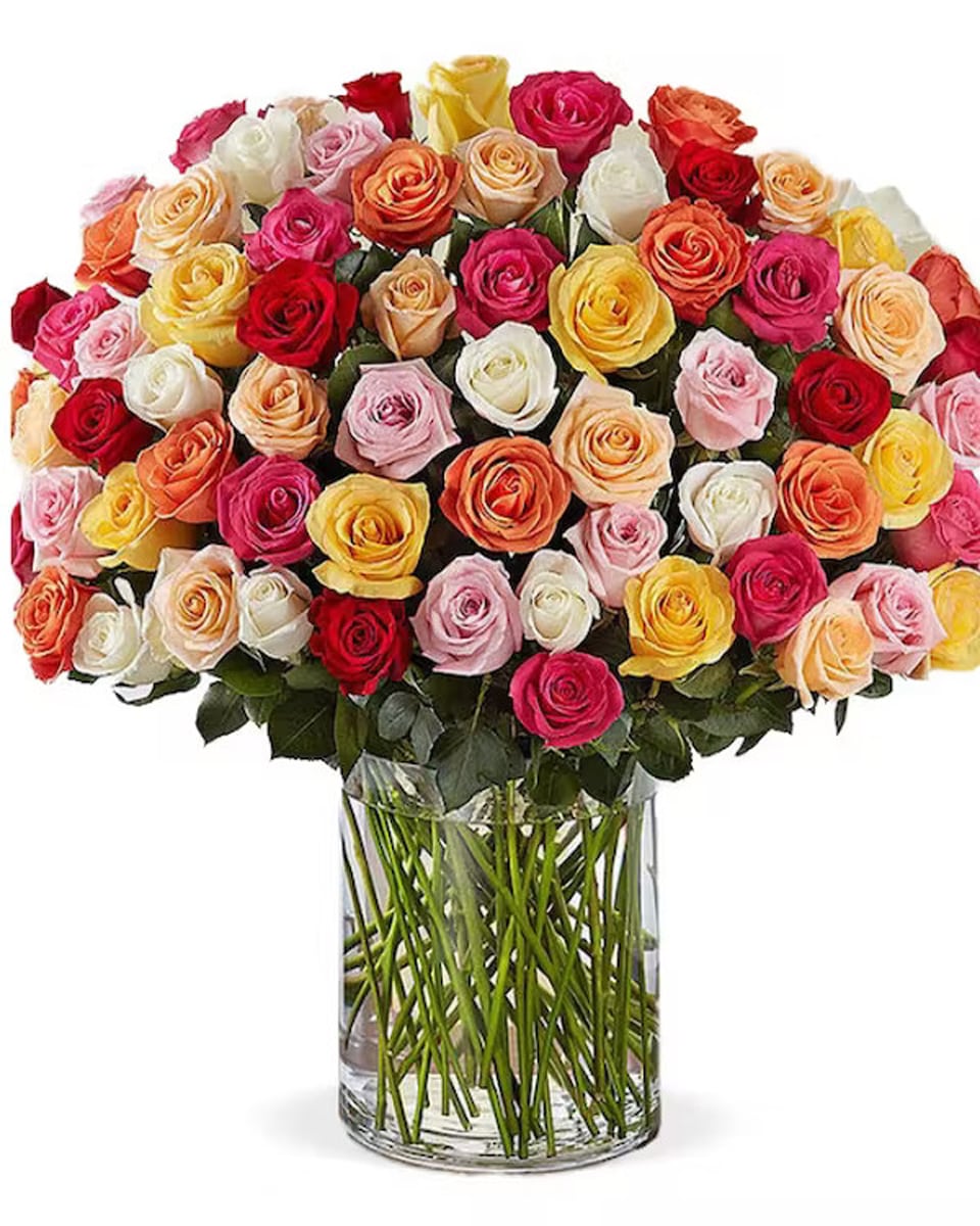 101 Roses 101 Multi Color Roses Wow, wow, wow! 101 spectacularly gorgeous red roses artistically arranged in a dazzling flared glass vase. This amazing bouquet is called 