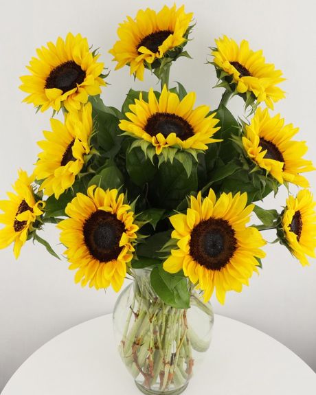 unny Sunflowers-only sunflowers in a vase-sunflowers