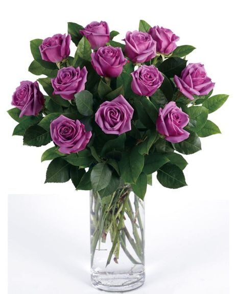 12 purple roses arranged in a vase-purple roses arranged in a vase-purple roses