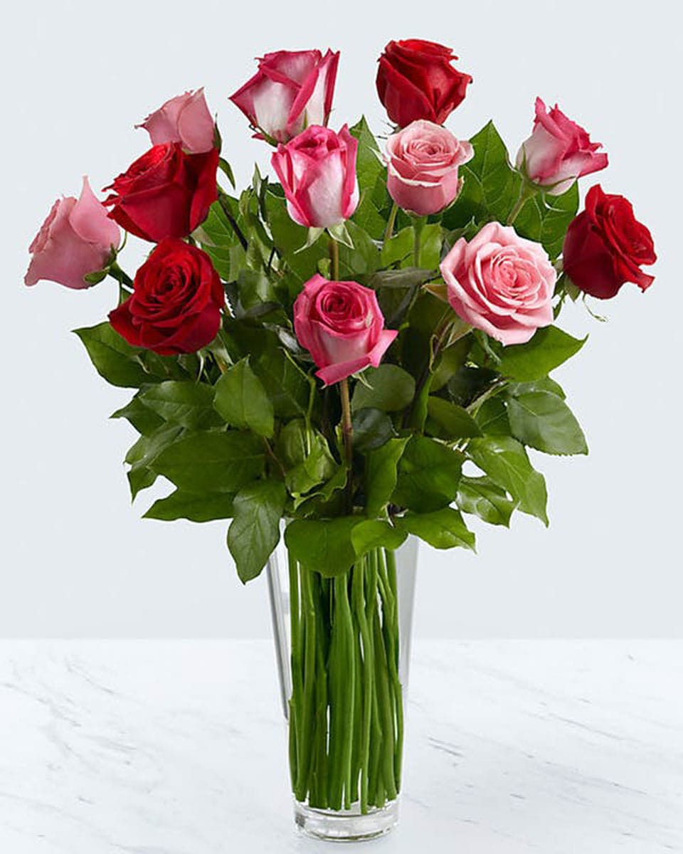 Mixed Roses arranged in a Vase 12 Mixed Roses arranged in a Vase Gorgeous mixed color roses arranged with in a beautiful tall glass vase.
DELIVERY: Every order is hand-delivered direct to the recipient. These items will be delivered by us locally, or a qualified retail local florist.