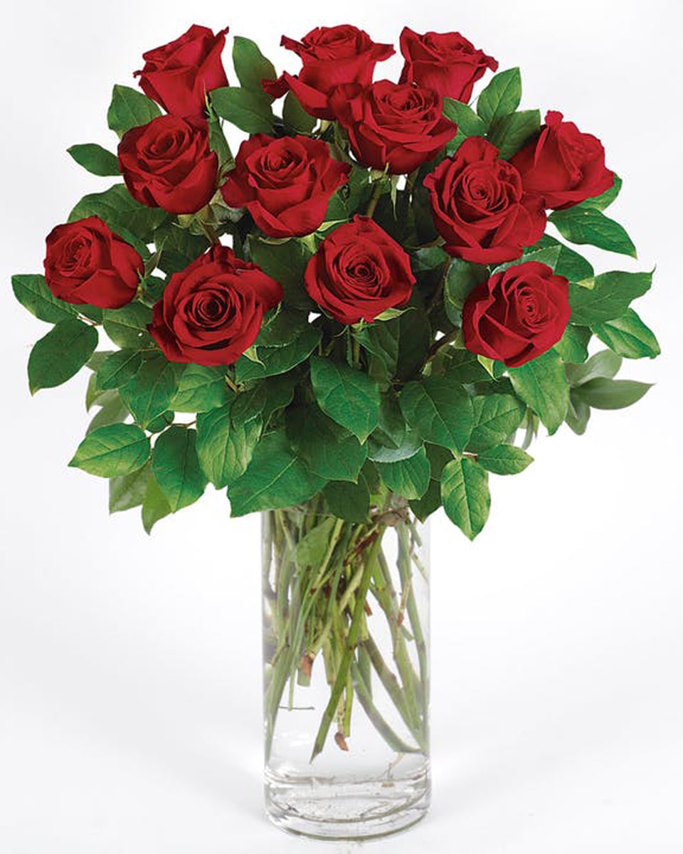 Red Roses arranged in a Vase 12 Long Stem Red Roses arranged in a Vase Nothing says 