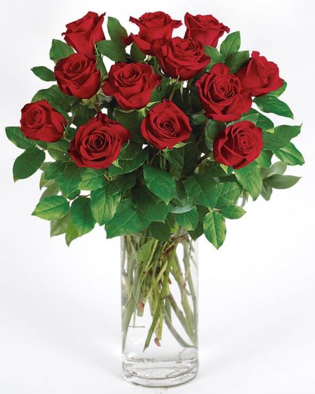 12 red Roses Arranged in a Vase-12 Beautifull Red Explorer Roses arranged in a vase-red Roses