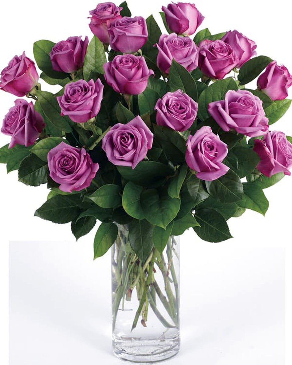 Purple Roses arranged in a Vase 24 Purple Roses-Deluxe Beautiful, Vibrant,  Purple Roses are arranged in a Vase with seasonal greens and fillers.
DELIVERY: Every order is hand-delivered direct to the recipient. These items will be delivered by us locally, or a qualified retail local florist.