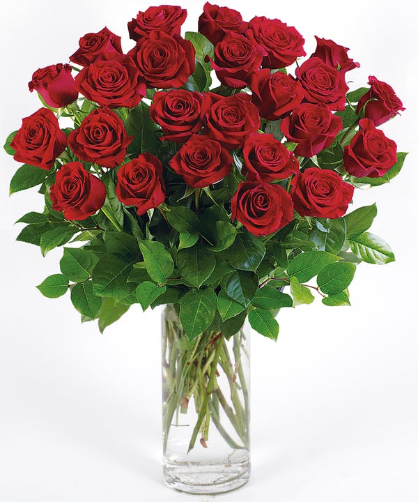 Red Roses arranged in a Vase 24 Long Stem Red Roses arranged in a Vase Nothing says 