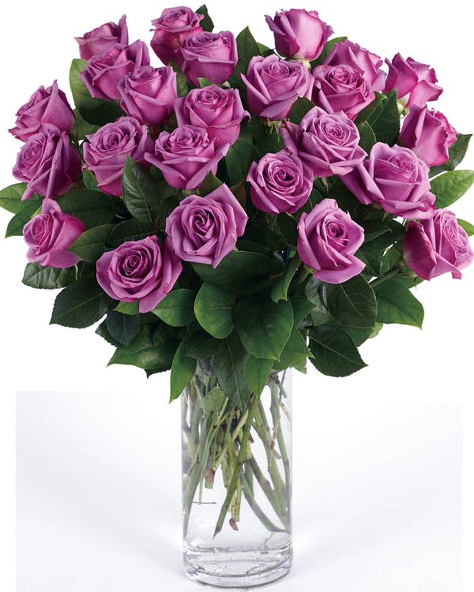 Purple Roses arranged in a Vase 36 Purple Roses-Premium Beautiful, Vibrant,  Purple Roses are arranged in a Vase with seasonal greens and fillers.
DELIVERY: Every order is hand-delivered direct to the recipient. These items will be delivered by us locally, or a qualified retail local florist.