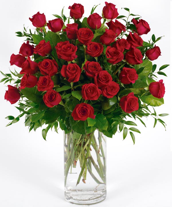 Red Roses arranged in a Vase 36 Long Stem Red Roses Arranged in a Vase Nothing says 