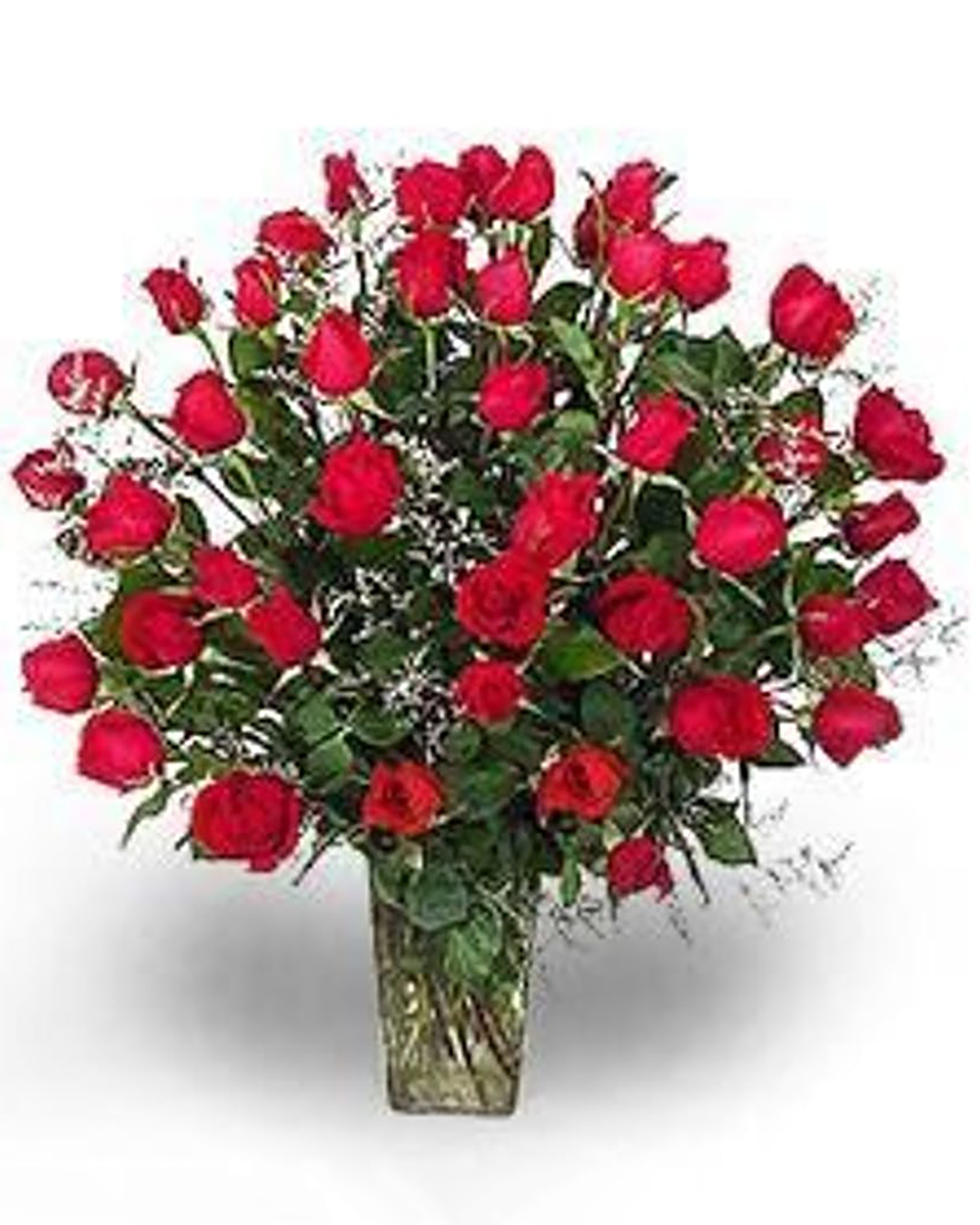 36 Red Roses 48 Red Roses-Double 36 Beautiful Ecuadorian red roses arranged in a glass vase with assorted greenery & filler.
DELIVERY: Every order is hand-delivered direct to the recipient. These items will be delivered by us locally, or a qualified retail local florist.