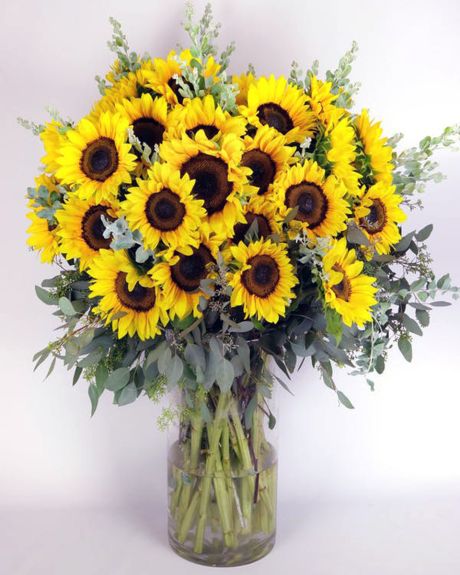 50 Sunflowers