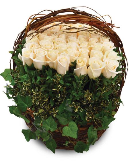 Grand Parade of Roses-60 plus roses are arranged in a fall basket that is accentuated with green ivy, birch branch, and varigated ruscus.-Roses