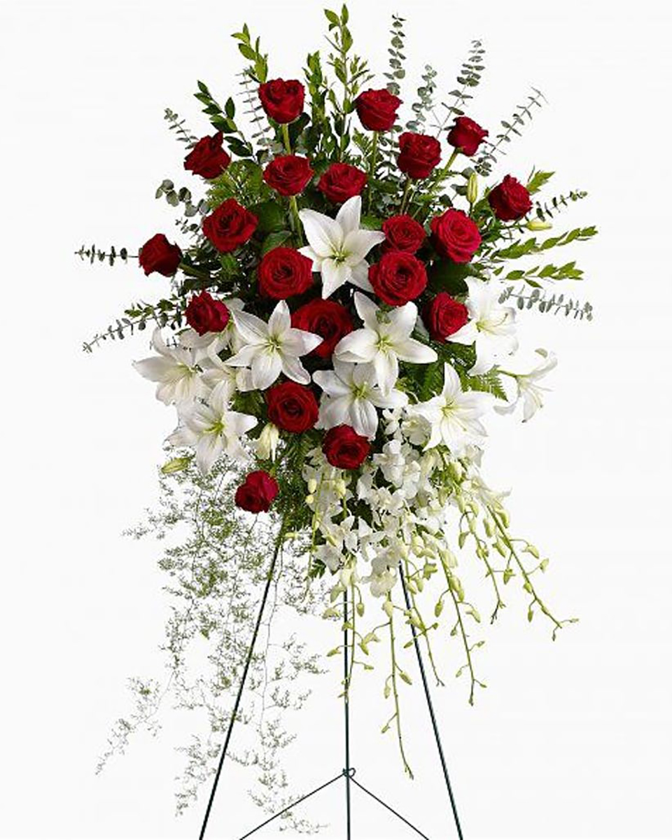 Red Sky Standard This magnificent Standing Spray consists of Red Roses, White Lilies, White Dendrobium Orchids, myrtle, Springerei, Eucalyptus, and leather Fern.
DELIVERY: Every order is hand-delivered direct to the recipient. These items will be delivered by us locally, or a qualified retail local florist.