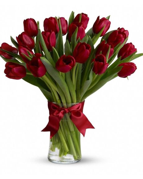 Radiant Red Tulips-Red Tulips are arranged in a clear glass vase. Approximately 12" W x 14" H-tulips