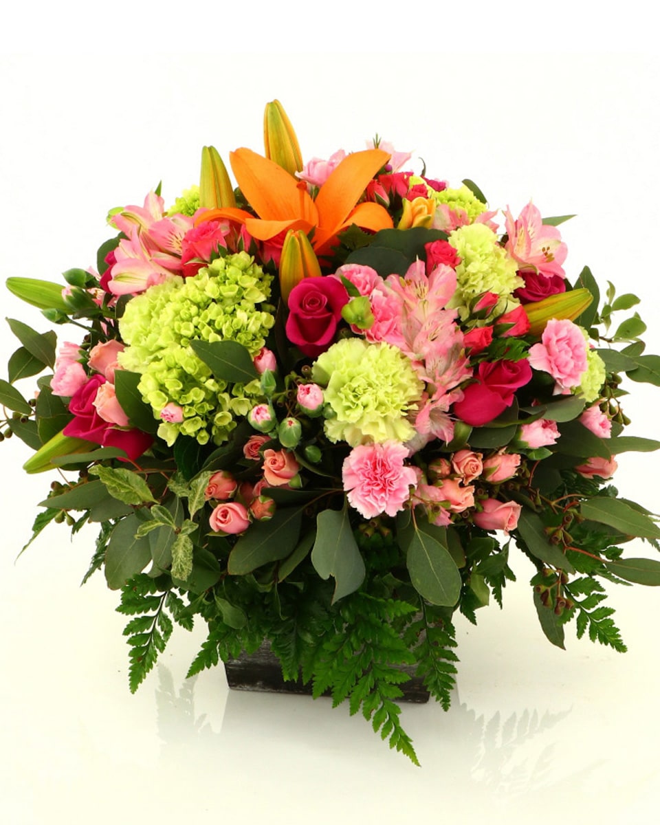 Beach Rose Garden Standard-in wood cube This beautiful arrangement features green hydrangea, hot pink roses, pink spray roses, peach asiatic lilies, pink alstroemeria, green carnations, pink miniature carnations, seeded eucalyptus, parvifolia eucalyptus, and lemon leaf.Designed in a rustic wood cube.
DELIVERY: Every order is hand-delivered direct to the recipient. These items will be delivered by us locally, or a qualified, retail, local florist.
