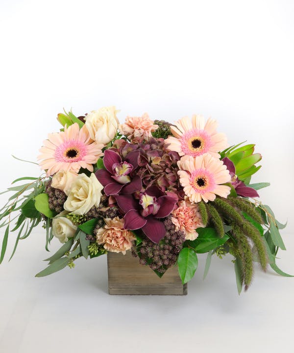 Burgundy Blush Premium 
Burgundy Blush
The expert design team at Allen's Flower Market in Long Beach out did themselves with this fabulous fresh flower design. It features burgundy cymbidium orchids, antique hydrangea, blush gerbera daisies, ivory roses and other premium florals are combined to create a stunning floral palette, all presented in a chic wooden box.

DELIVERY: Every order is hand-delivered direct to the recipient. These items will be delivered by us locally, or a qualified, retail, local florist..
