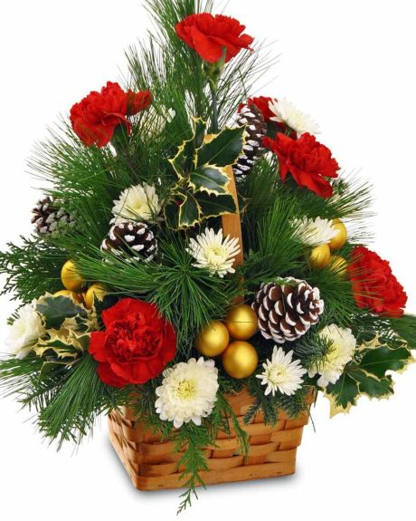 Christmas Forest-Pine, Holly, Cedar, Frosted Pine Cones, Gold Christmas Balls, Red Carnations, and White Cushion Pom Pons are traditionally designed in a wicker handle basket.-Christmas Arrangement
