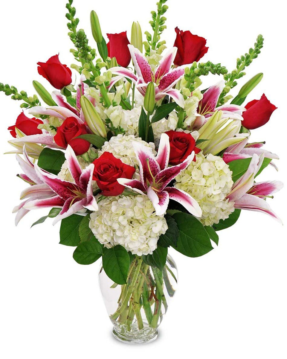 Rose County Standard Beauty and romance! Send a magnificent combination of fragrant red Roses, locally grown Stargazer Lilies, and white Snapdragons nestled in with stunning white Hydrangea.
DELIVERY: Every order is hand-delivered direct to the recipient. These items will be delivered by us locally, or a qualified retail local florist.