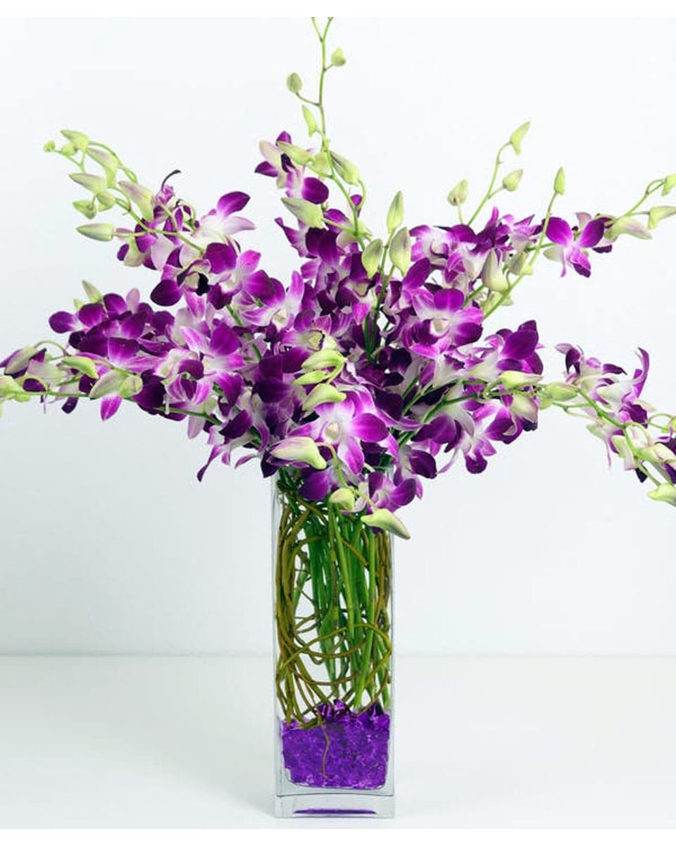 Orchid Heaven Deluxe Bombay Dendrobium Ochids, Curley Willow, and Acrylic Rock are elegantly arranged in a vase.
DELIVERY: Every order is hand-delivered direct to the recipient. These items will be delivered by us locally, or a qualified retail local florist.