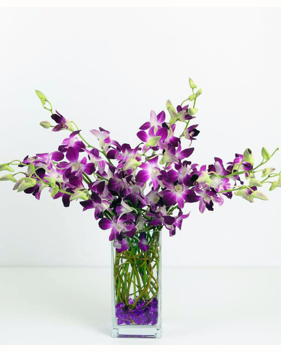 Orchid Heaven Standard Bombay Dendrobium Ochids, Curley Willow, and Acrylic Rock are elegantly arranged in a vase.
DELIVERY: Every order is hand-delivered direct to the recipient. These items will be delivered by us locally, or a qualified retail local florist.