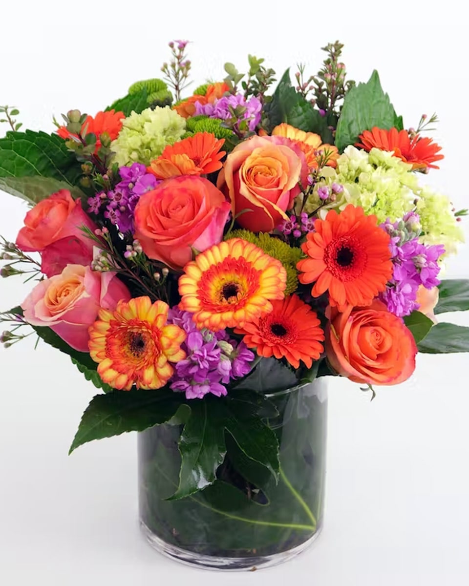 Dreamsicle Standard This lush, colorful arrangement features loads of premium flowers and tons of texture in a 6x6 cylinder.
Local florist only
DELIVERY: Every order is hand-delivered direct to the recipient. This item is only deliverable to local areas serviced by Allen’s Flower Market Stores. 