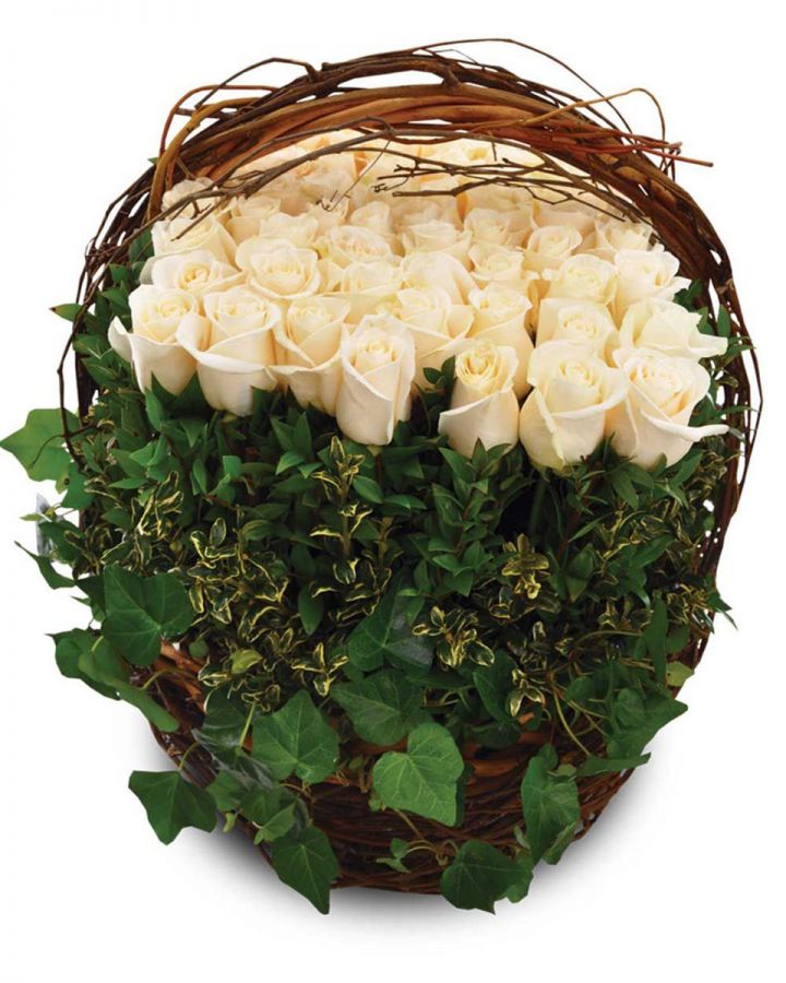 Grand Parade of Roses Standard-60 Roses Roses are arranged in a fall basket that is accentuated with green ivy, birch branch, and varigated ruscus.
DELIVERY: Every order is hand-delivered direct to the recipient. These items will be delivered by us locally, or a qualified retail local florist.