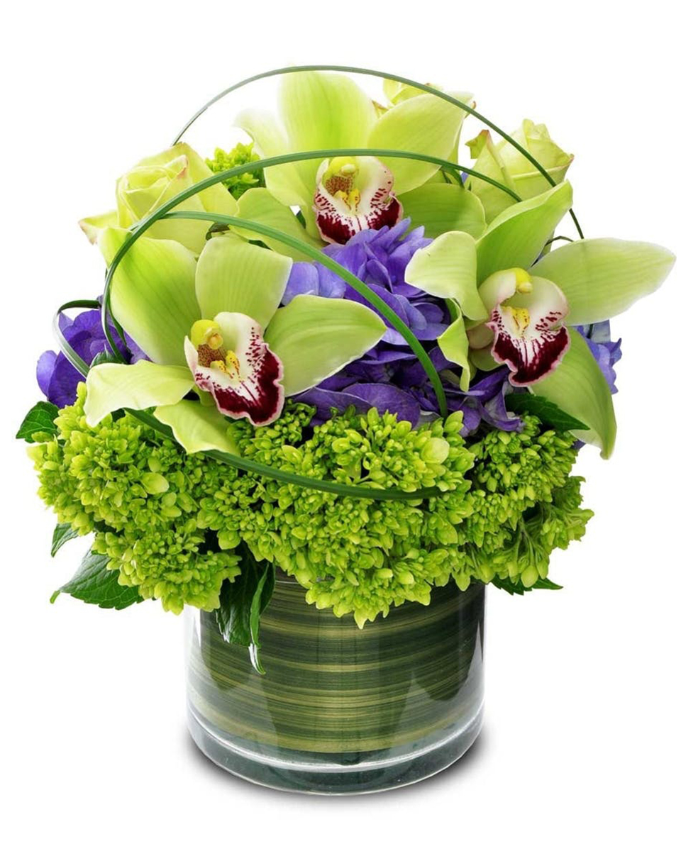 Green Goddess Green Goddess-Standard (4 x 4 in Cylinder) Facebook Specials, Green Cymbidium Orchids, Green Hydrangea, Green Roses, and Purple Hydrangea designed in a low profile Cylinder lined on the inside of the vase with Ti Leaf.
DELIVERY: Every order is hand-delivered direct to the recipient. These items will be delivered by us locally, or a qualified retail local florist.