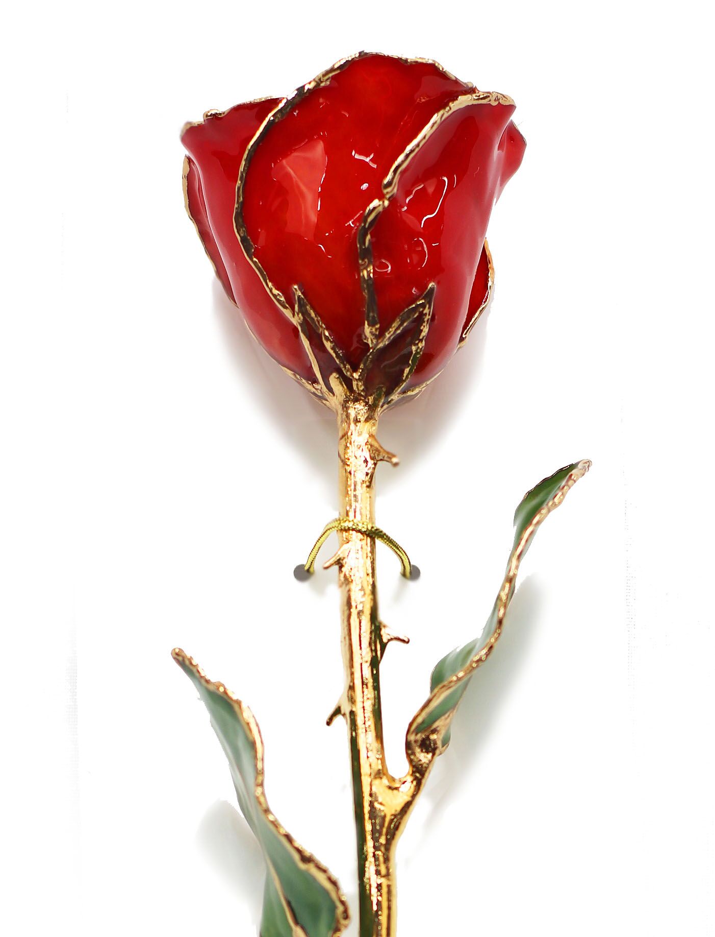Red Rose Dipped in Gold Red Rose Dipped in Gold This product contains a real rose that is hand picked. With the timeless beauty of nature, each rose is carefully selected, sized and preserved at the peak of its beauty. A fine delicate layer of lacquer has been applied to preserved its natural appearance, then electroformed and completed with 24k gold.
DELIVERY: Every order is hand-delivered direct to the recipient. These items will be delivered by us locally, or a qualified retail local florist.