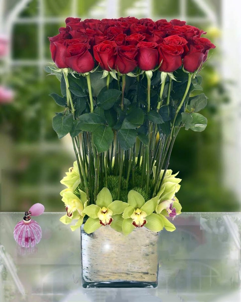 Rose Horizon Standard -48 Roses Spectacular Ecuadorian Roses...The designers at Allen's Flower Market  start with 48, luxurious Ecuadorian Explorer Red Roses. We add in just the right amount of exotic green cymbidium orchids and accents. Then artfully nestle these gorgeous bloom into a ultra modern, birch-lined cube vase. This one is special!
DELIVERY: Every order is hand-delivered direct to the recipient. These items will be delivered by us locally, or a qualified retail local florist.