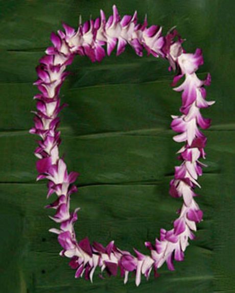 Bomba Lei- Single strand  lei of Bombay Dendrobium orchids-Leis
