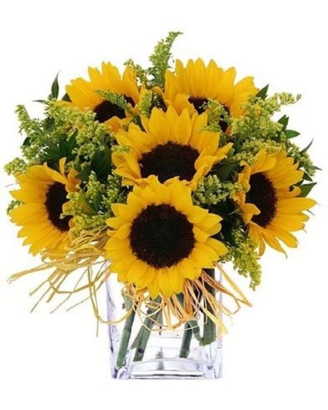 sunflower simplicity-Sunflowers arranged in a cube-sunflowers